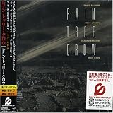 Rain Tree Crow