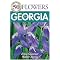 THE UNITED STATES OF AMERICA: ALL ABOUT GEORGIA