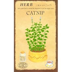 �y��q�z�L���b�g�j�b�v [0815]