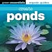 Create Ponds