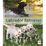 Labrador Retriever: Das große Rassehandbuch