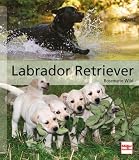 Labrador Retriever: Das große Rassehandbuch