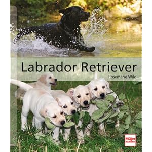 Labrador Retriever: Das gro&szlig;e Rassehandbuch