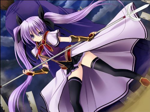 戦極姫 ~戦乱に舞う乙女達~(限定版)