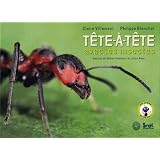 T�te-�-t�te avec les insectes (1CD audio)par Claire Villemant