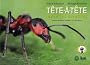 T�te-�-t�te avec les insectes (1CD audio)