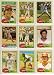 Cincinnati Reds 1981 Topps Baseball Team Set w/ High Numbers (Johnny Bench) (George Foster) (Tom Seaver) (Ron Oster) (Dave Collins) (Ken Griffey) (Ray Knight) (Mario Soto) (Dave Concepcion) (Cesar Geronimo) (Paul Householder Rookie) (Dan Driessen)