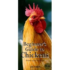 Beginners Guide to Chickens