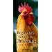 Beginners Guide to Chickens