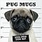 Fox Valley Pug Lovers Recommended Books