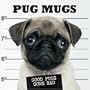 Pug Mugs: Good Pugs Gone Bad