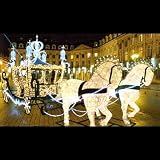長7.5m LED デラックス 黄金 馬車 ACR-BAGOLD イルミネーション