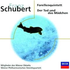 String Quartet No.14 in D minor, D.810 -"Death and the Maiden" - 1. Allegro