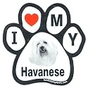 Havanese Paw Magnet (6in)