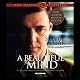 A Beautiful Mind: The Life of Mathematical Genius and Nobel Laureate John Nash