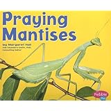 Praying Mantises (Bugs, Bugs, Bugs!)