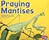 Praying Mantises (Bugs, Bugs, Bugs!)