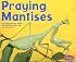 Praying Mantises (Pebble Plus: Bugs, Bugs, Bugs)