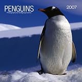 Penguins Calendar 2007