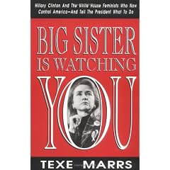 Big Sister Is Watching You: Hillary Clinton and the White House Feminists Who Now Control America and Tell the President What to Do