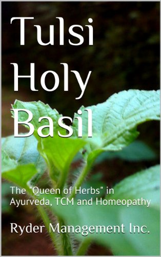 Tulsi Holy Basil: The 