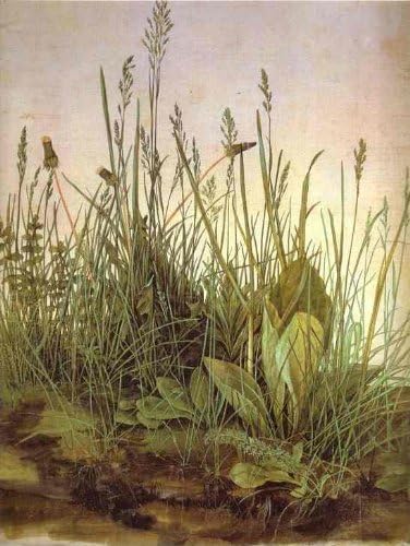 Storeoutlet Weeds rebirth£¬printing oil painting,for modern home decor 12x16(inches)