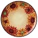 Pfaltzgraff Evening Sun 11 3 4-Inch Dinner Plate