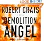 Demolition Angel