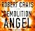 Demolition Angel