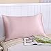 OOSILK 100% Mulberry Silk Pillowcase for Hair Queen 20in x 30in,Light Plum,Gift Wrap, 1pc