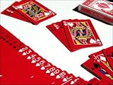 The RED Deck - Magic Trick Cards - Designed By Magic Makers & Printed By US Playing Co.