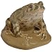 3B Scientific VN710/2 Female Green Toad (Bufo Viridis)