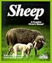 Sheep (Complete Pet Owner's Manuals)