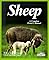 Sheep (Complete Pet Owner's Manual)
