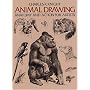 Animal Drawing: Anatomy and Action for Artists