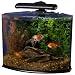 Tetra Crescent Aquarium Kit, 5-Gallon