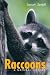 Search : Raccoons: A Natural History