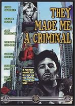 They Made Me A Criminal