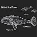 British Sea Power, Sea Of Brass, 発売中