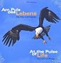 Am Puls des Lebens. At the Pulse of Life: �ber Natur und Fotografie. About Nature and Photography