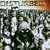 Ten Thousand Fists