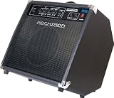 Rocktron Rampage Bass 20 Combo Amp
