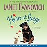 Hero at Large