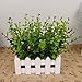 Gogogo 1X Artificial Fake Green Plant Eucalyptus Yard Home Planter D¨¦cor Outdoor Decoration