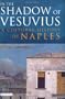 In the Shadow of Vesuvius: A Cultural History of Naples