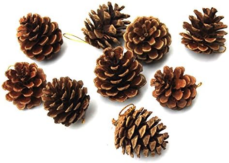 BB Gossip 9 PCS Christmas Natural Pine Cone Tree Hanging Ornaments Decorations Xmas Party Decor
