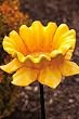 Daffodil Stake Bird Feeder