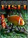 Angelfish, Megamouth Sharks & Other Fish (Animal Kingdom Classification)