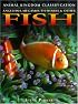 Angelfish, Megamouth Sharks & Other Fish (Animal Kingdom Classification)