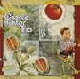 Charlie Hunter Trio